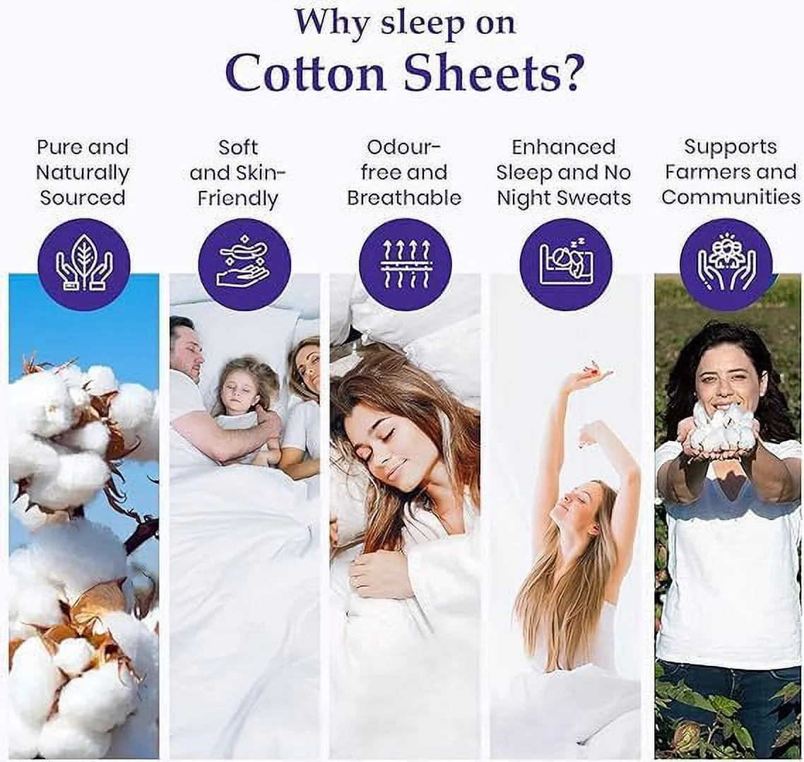 800 Thread Count 100% Egyptian Extra Long Staple Cotton Sheet Set, 4 Pc Set, Sateen Weave, Hotel Collection Soft Luxury Bedding, Fits Upto 15" Inch Deep Pocket (Silver Solid, King Size)